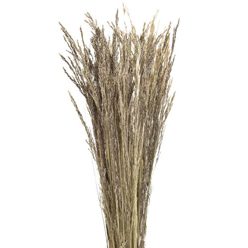 Floristik24 Bøjet Græs Agrostis Capillaris Tørt Græs Natur 60cm 80g