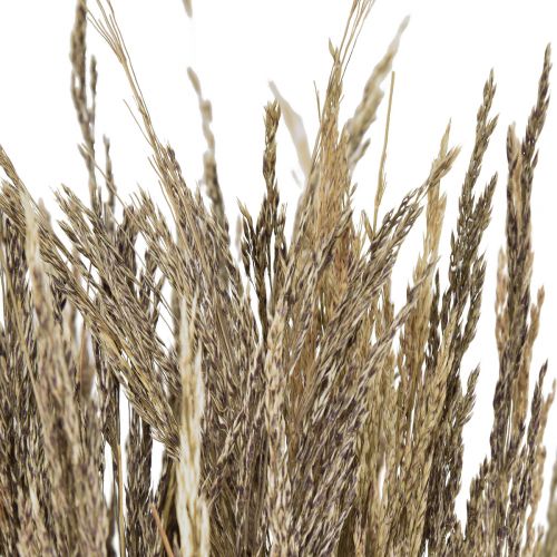 Artikel Bøjet Græs Agrostis Capillaris Tørt Græs Natur 60cm 80g