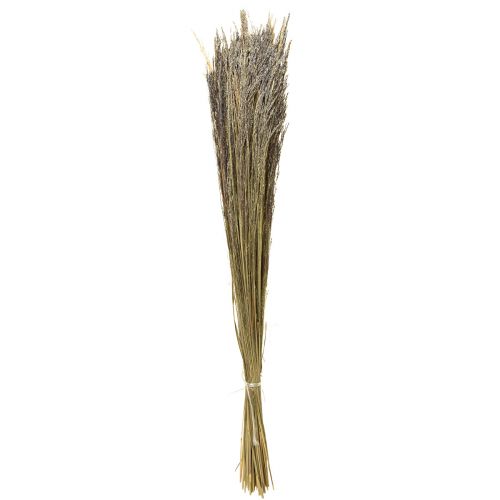 Floristik24 Bøjet Græs Agrostis Capillaris Tørt Græs Natur 60cm 80g