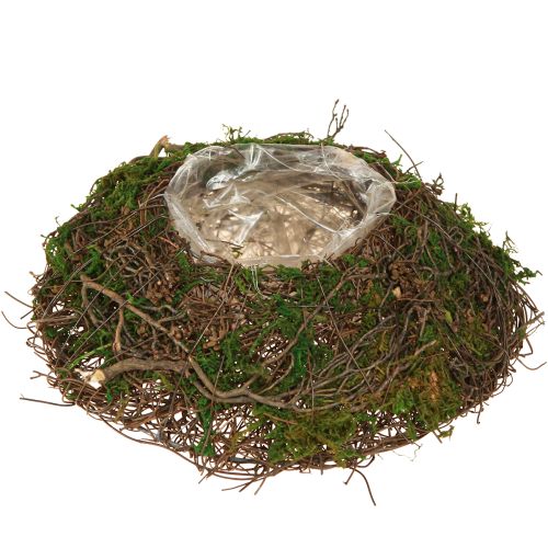 Rund plantekasse mosranker med folie Ø20cm H7cm