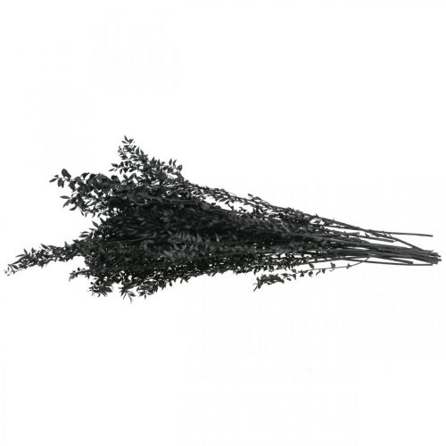 Floristik24 Ruscus grene dekorative grene tørrede blomster sorte 200g