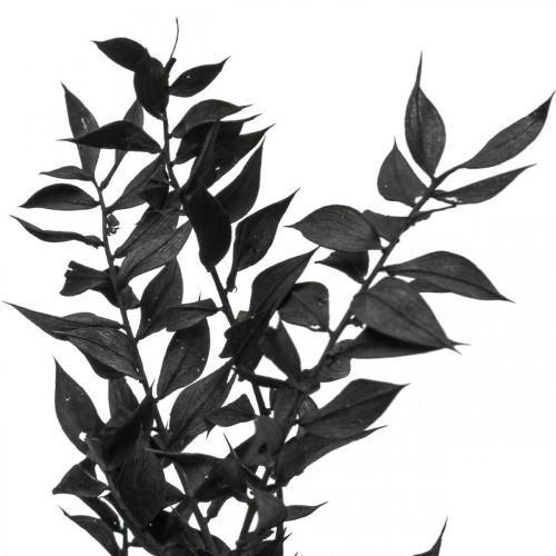 Floristik24 Ruscus grene dekorative grene tørrede blomster sorte 200g