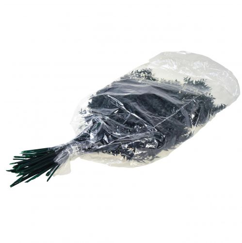 Floristik24 Ruscus grønne dekorative grene mørkegrønne 75-95cm 1kg