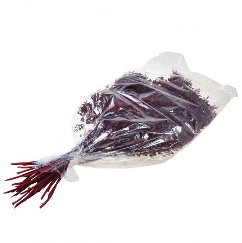 Artikel Ruscus Røde dekorative grene tørret mørkerød 75-95cm 1kg