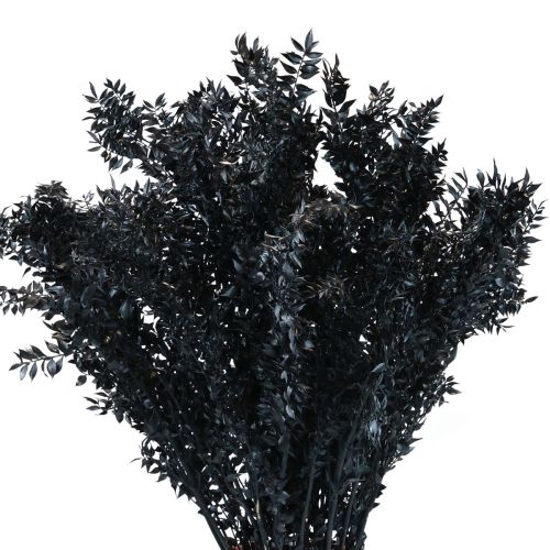 Ruscus tørrede dekorative grene Ruscus Black 1kg