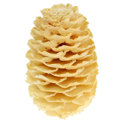 Artikel Sabulosum kogler bleget 500g
