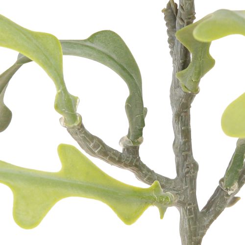 Artikel Kunstsavbladskaktus Epiphyllum anguliger L68cm 3 stk