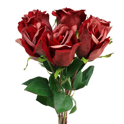 Floristik24 Fløjlsrose Rød Ø8cm L45cm 6 stk