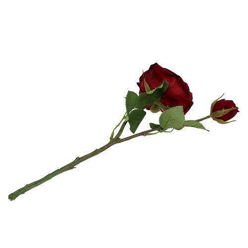 Floristik24 Fløjlsrødrød med knopp Ø9cm L38cm