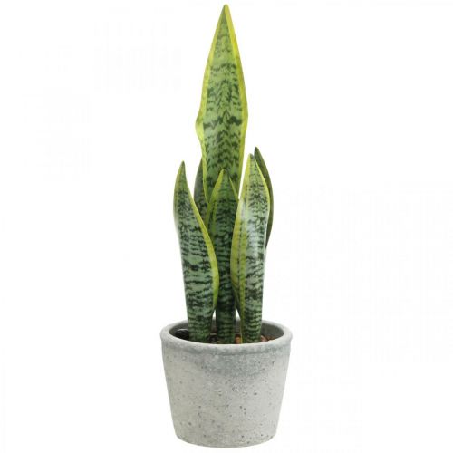 Kunstig buehamp, grøn plante i potte, Sansevieria H39cm Ø12cm