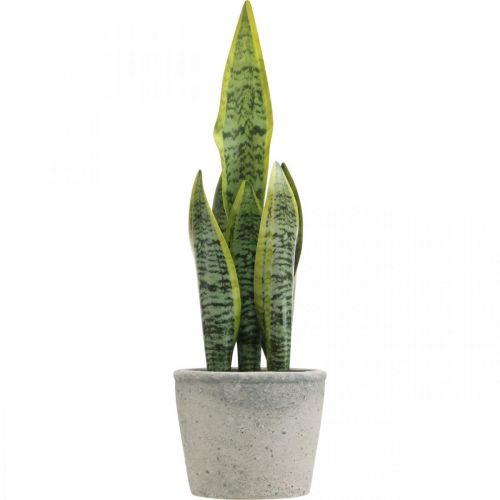 Floristik24 Kunstig buehamp, grøn plante i potte, Sansevieria H39cm Ø12cm