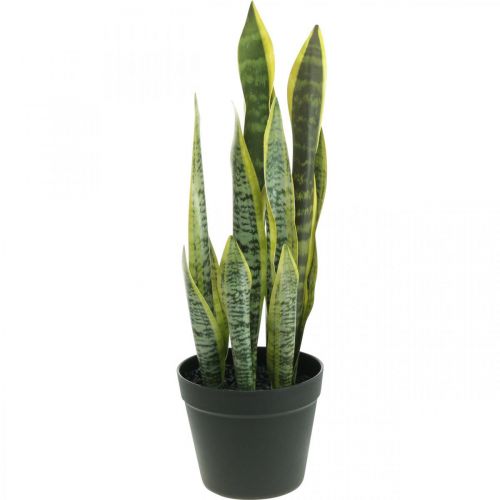 Floristik24 Sansevieria, kunstig blomst, sløjfehamp i potte H50cm Ø14cm