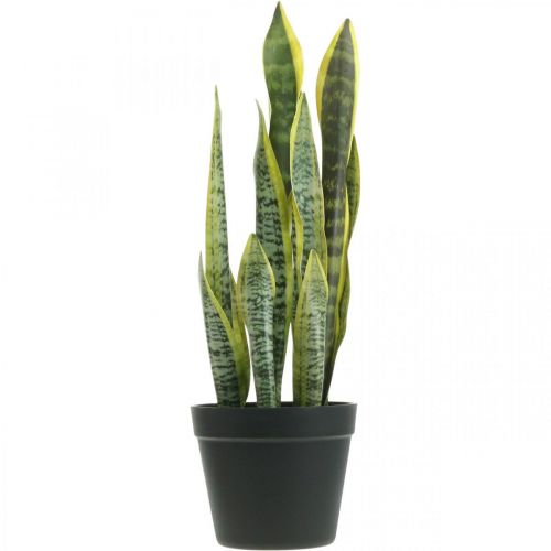 Floristik24 Sansevieria, kunstig blomst, sløjfehamp i potte H50cm Ø14cm