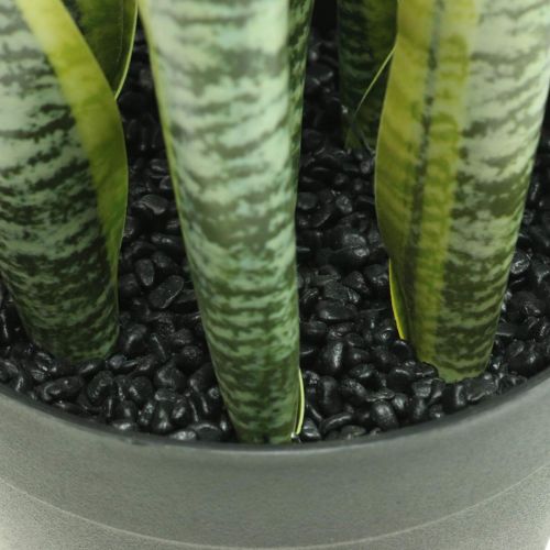 Artikel Sansevieria, kunstig blomst, sløjfehamp i potte H50cm Ø14cm