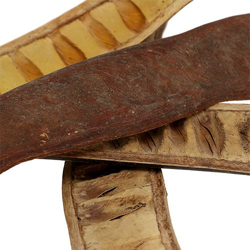 Artikel Scaletta pod naturlig 25cm - 50cm 25 stk