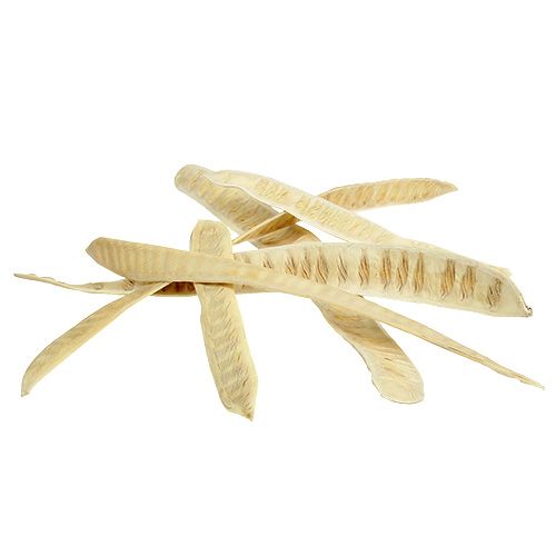 Floristik24 Scaletta pod bleget 25 stk