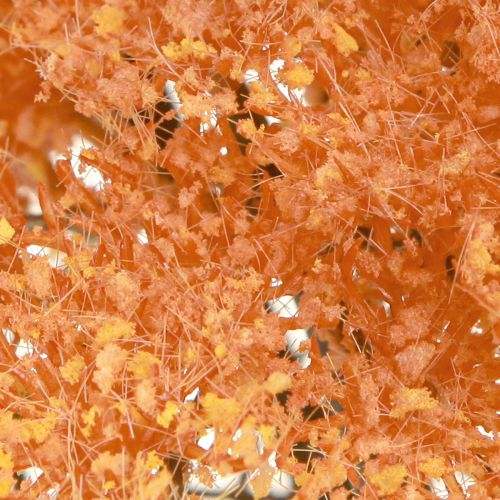 Artikel Kunstige røllikeblomster Achillea kunstig orange 30 cm 6 stk