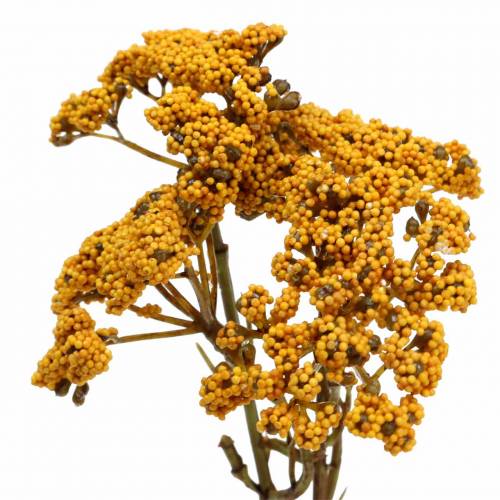 Floristik24 Yarrow kunstig gul 74cm 3stk