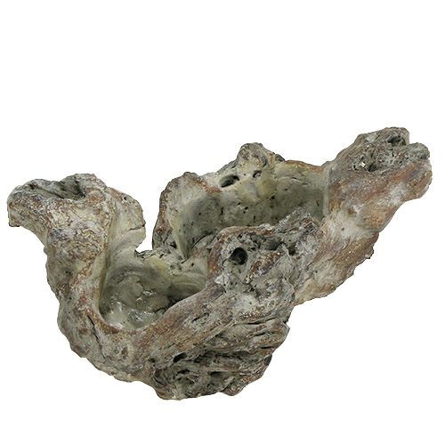 Floristik24 Skål trærod 25,5 cm x 14 cm H11,5 cm