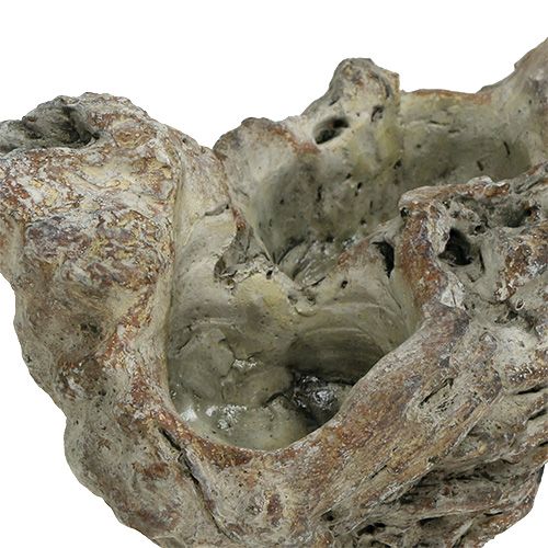 Floristik24 Skål trærod 25,5 cm x 14 cm H11,5 cm