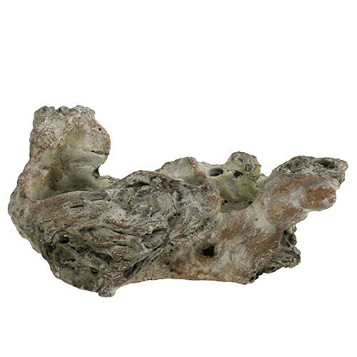 Floristik24 Skål trærod 25,5 cm x 14 cm H11,5 cm