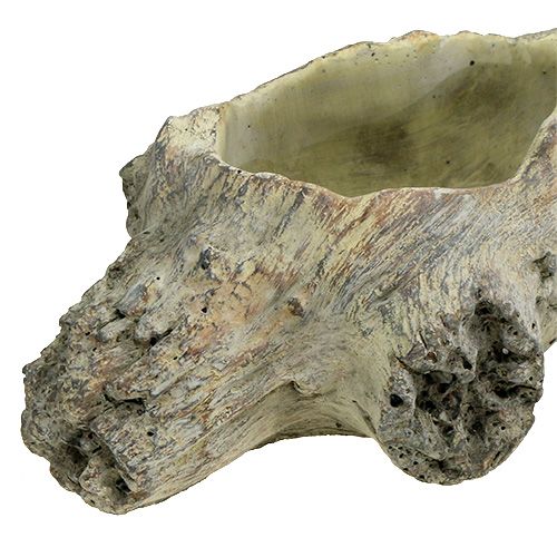 Floristik24 Skål til udplantning 30cm x 13cm H8,5cm