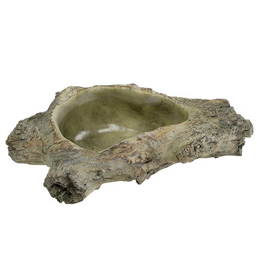 Floristik24 Skål til udplantning 30cm x 13cm H8,5cm