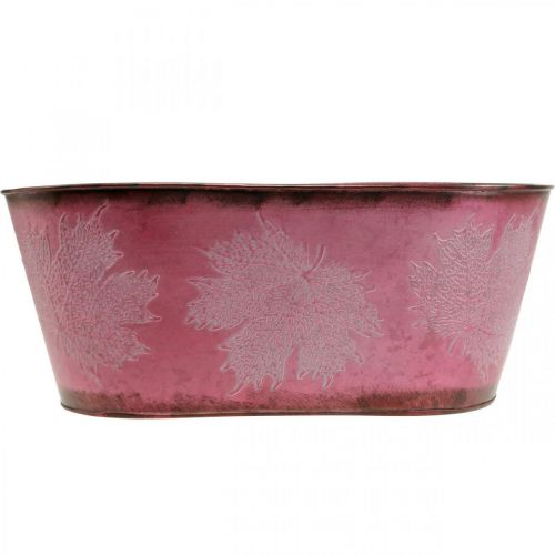Artikel Skål med bladdekoration, planter, efterårsdekoration, metalpotte vin rød L38cm H15cm