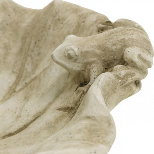 Artikel Fuglebad med frøer, beton havefigur, fuglebad lotusblad B21cm H7cm