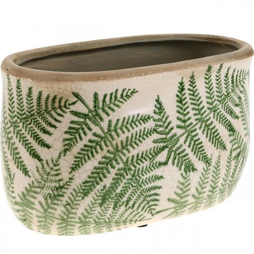 Floristik24 Planteskål bregne stentøj oval keramik krukke 20×10×13,5cm 2 stk.