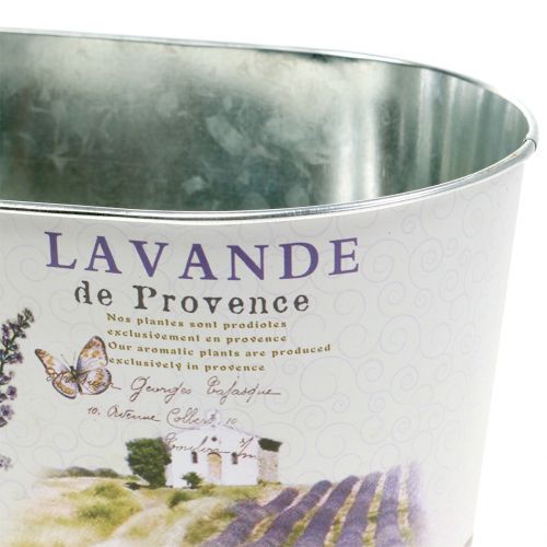 Floristik24 Planteskål Lavendel oval 22,5 cm x 13,5 cm H11 cm