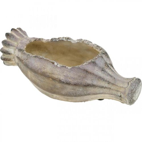 Floristik24 Valmuekapsel til plantning, betondekoration, plantekrukke, havedekoration L29,5cm