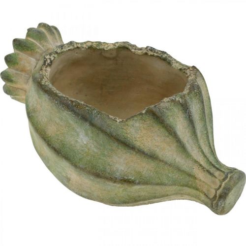 Floristik24 Dekorativ valmuekapsel, plantekasse i beton, cachepot, gravdekoration L26cm