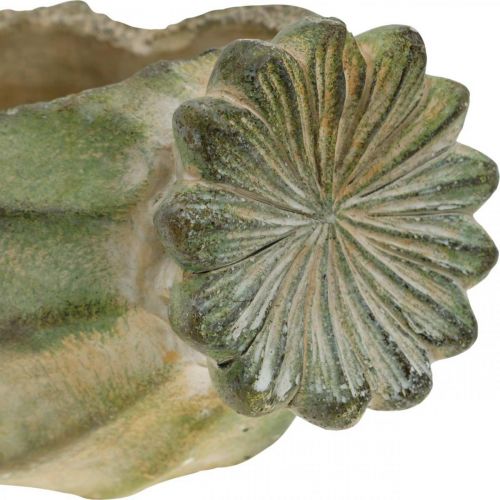 Floristik24 Dekorativ valmuekapsel, plantekasse i beton, cachepot, gravdekoration L26cm