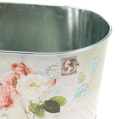 Floristik24 Planteskål roser ovale 22,5 cm x 13,5 cm H11cm
