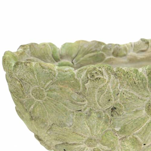 Floristik24 Planteskål oval grøn 22×11,5cm H10cm