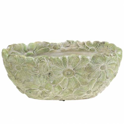 Floristik24 Planteskål oval grøn 22×11,5cm H10cm