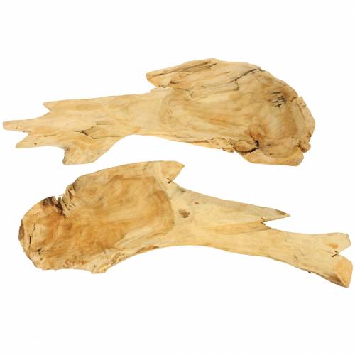 Floristik24 Rotskål 50cm x 17cm H8cm