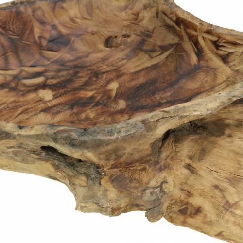 Floristik24 Burl træ skål flammet 70cm x 27cm H12cm
