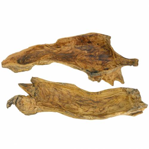 Floristik24 Burl træ skål flammet 70cm x 27cm H12cm