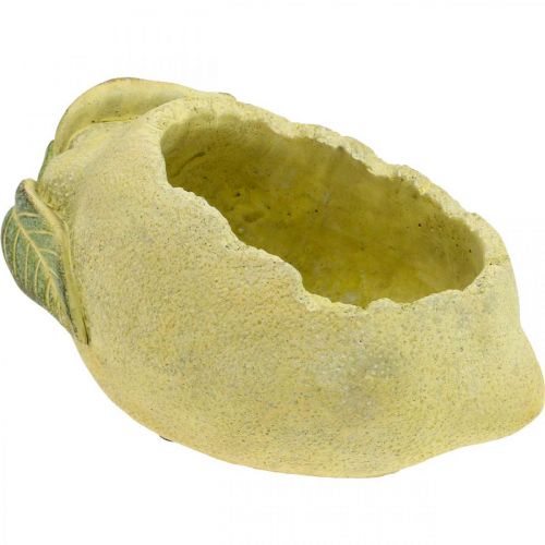 Planteskål, citron til plantning, middelhavsbeton dekoration L22cm