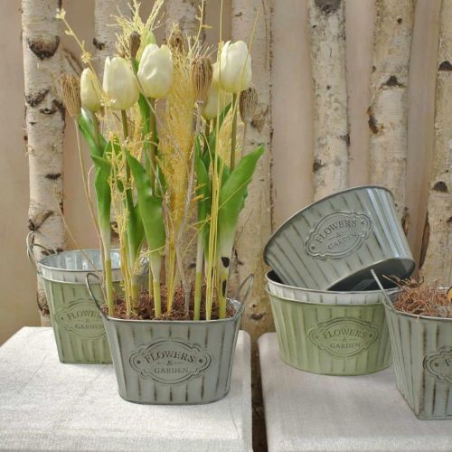 Floristik24 Urtepotte lavet af metal planteskål med hanke grøn, hvid, grå L24cm H14,5cm 3 stk.