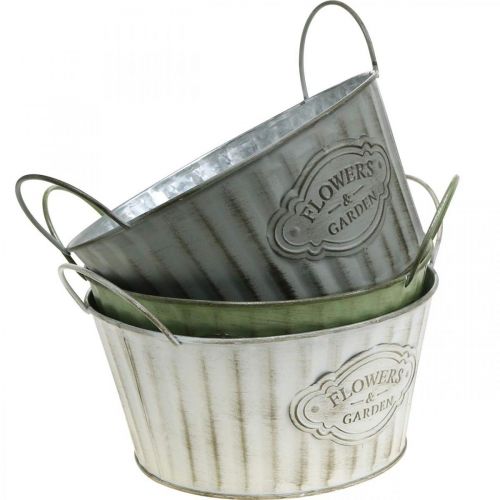 Floristik24 Metal planteskål, forårsurtepotte, plantekasse med hanke grøn, hvid, grå Ø21cm H15,5cm sæt med 3 stk.