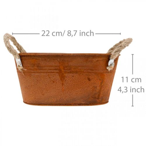 Floristik24 Metalskål med hanke, efterårsdekoration, plantekasse med patina L22cm H11cm