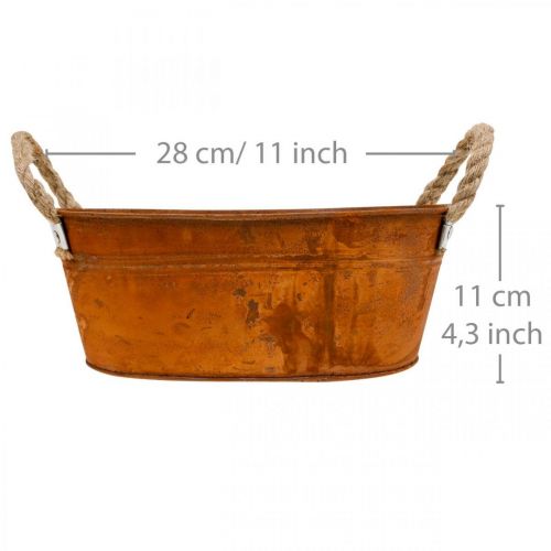 Floristik24 Plantekrukke med hanke, urteskål, efterårsdekoration, patina L28cm H11cm