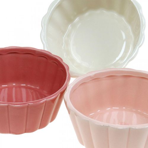 Floristik24 Plantekasse bageform, kageform til udplantning, keramisk potte H5cm Ø12,5cm 3 stk.