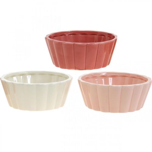 Plantekasse bageform, kageform til udplantning, keramisk potte H5cm Ø12,5cm 3 stk.