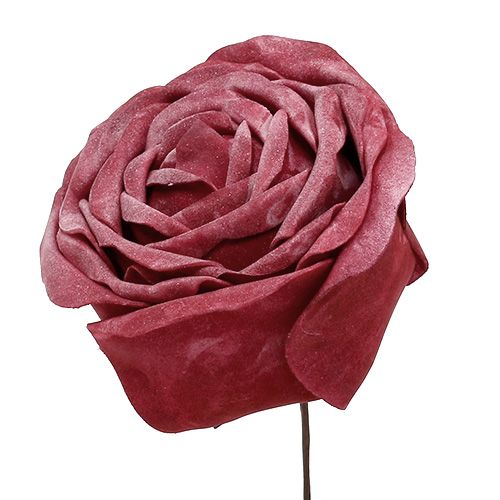 Floristik24 Skum rose mix Ø10cm 6stk