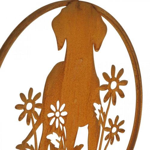 Floristik24 Metalskilt patinahund med blomster Ø38cm