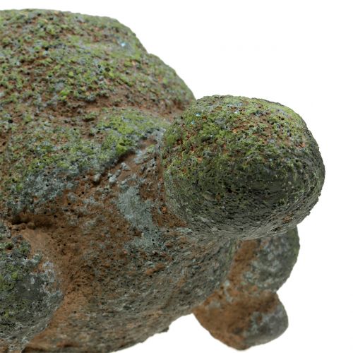 Floristik24 Havefigur skildpadde mos 30 cm x 18 cm H15 cm